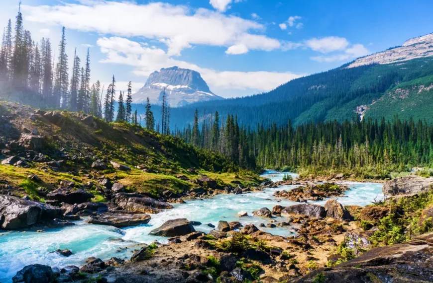 Top 10 National Park Campsites In United States (Updated 2024)